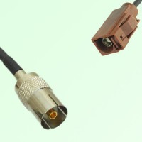 FAKRA SMB F 8011 brown Female Jack to DVB-T TV Female Jack Cable
