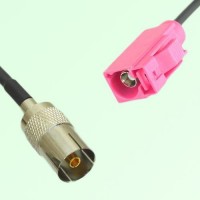 FAKRA SMB H 4003 violet Female Jack to DVB-T TV Female Jack Cable FAKRA SMB H 4003 violet Female Jack to DVB-T TV Female Jack Cable
