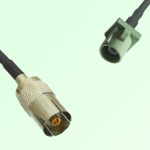 FAKRA SMB N 6019 pastel green Male Plug to DVB-T TV Female Jack Cable FAKRA SMB N 6019 pastel green Male Plug to DVB-T TV Female Jack Cable