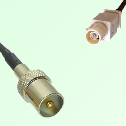 FAKRA SMB I 1001 beige Male Plug to DVB-T TV Male Plug Cable