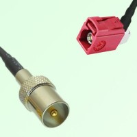 FAKRA SMB L 3002 carmin red Female Jack RA to DVB-T TV Male Plug Cable