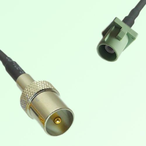 FAKRA SMB N 6019 pastel green Male Plug to DVB-T TV Male Plug Cable