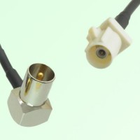 FAKRA SMB B 9001 white Male Plug to DVB-T TV Male Plug RA Cable FAKRA SMB B 9001 white Male Plug to DVB-T TV Male Plug RA Cable