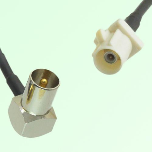 FAKRA SMB B 9001 white Male Plug to DVB-T TV Male Plug RA Cable FAKRA SMB B 9001 white Male Plug to DVB-T TV Male Plug RA Cable