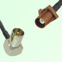 FAKRA SMB F 8011 brown Male Plug to DVB-T TV Male Plug RA Cable