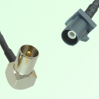 FAKRA SMB G 7031 grey Male Plug to DVB-T TV Male Plug RA Cable