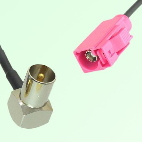 FAKRA SMB H 4003 violet Female Jack to DVB-T TV Male Plug RA Cable FAKRA SMB H 4003 violet Female Jack to DVB-T TV Male Plug RA Cable