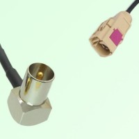 FAKRA SMB I 1001 beige Female Jack to DVB-T TV Male Plug RA Cable