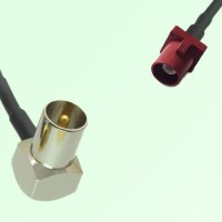 FAKRA SMB L 3002 carmin red Male Plug to DVB-T TV Male Plug RA Cable