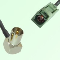 FAKRA SMB N 6019 pastel green Female to DVB-T TV Male RA Cable