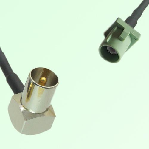 FAKRA SMB N 6019 pastel green Male Plug to DVB-T TV Male Plug RA Cable FAKRA SMB N 6019 pastel green Male Plug to DVB-T TV Male Plug RA Cable