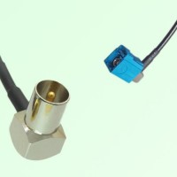 FAKRA SMB Z 5021 Water Blue Female RA to DVB-T TV Male RA Cable