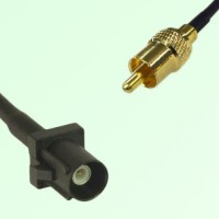 FAKRA SMB A 9005 black Male Plug to RCA Male Plug Cable