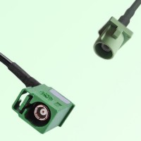 FAKRA SMB E 6002 green Female RA to N 6019 pastel green Male Cable