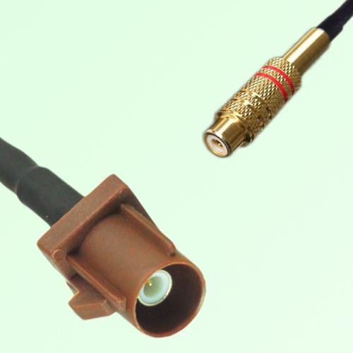 FAKRA SMB F 8011 brown Male Plug to RCA Female Jack Cable