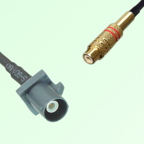 FAKRA SMB G 7031 grey Male Plug to RCA Female Jack Cable