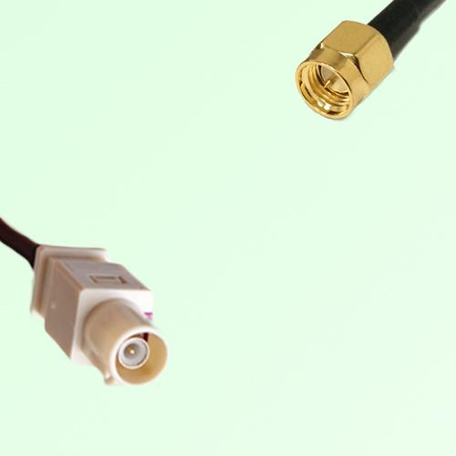 FAKRA SMB I 1001 beige Male Plug to SMA Male Plug Cable