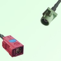 FAKRA SMB L 3002 carmin red Female to N 6019 pastel green Male Cable