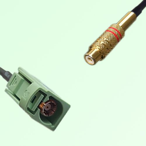 FAKRA SMB N 6019 pastel green Female Jack to RCA Female Jack Cable