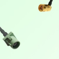 FAKRA SMB N 6019 pastel green Male Plug to SMA Male Plug RA Cable