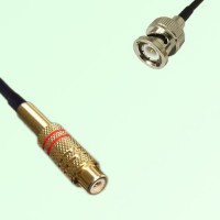 RCA Female to BNC Male RF Cable Assembly