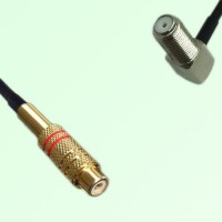 RCA Female to F Bulkhead Female Right Angle RF Cable Assembly