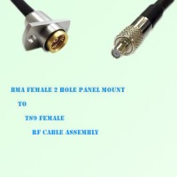 BMA Female 2 Hole Panel Mount to TS9 Female RF Cable Assembly