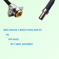 BMA Female 2 Hole Panel Mount to TS9 Male RF Cable Assembly