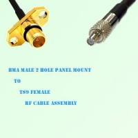 BMA Male 2 Hole Panel Mount to TS9 Female RF Cable Assembly