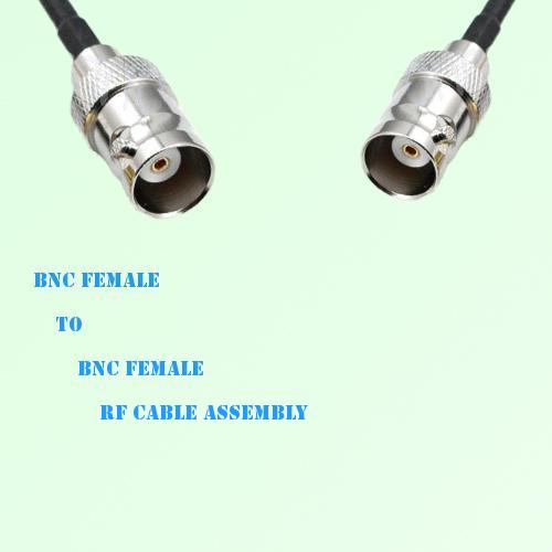 BNC Female to BNC Female RF Cable Assembly BNC Female to BNC Female RF Cable Assembly