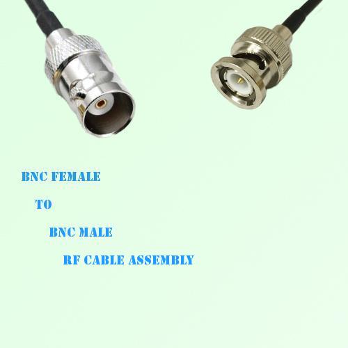 BNC Female to BNC Male RF Cable Assembly