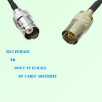 BNC Female to DVB-T TV Female RF Cable Assembly