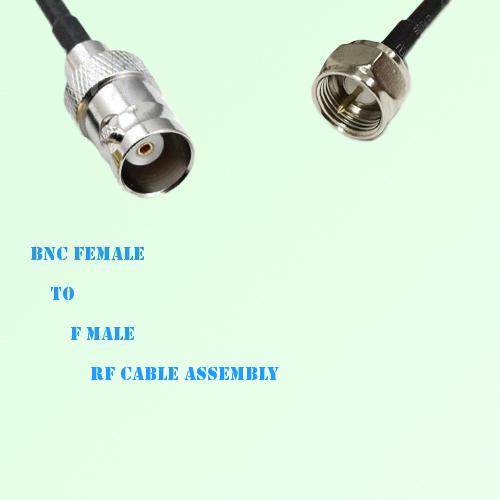 BNC Female to F Male RF Cable Assembly