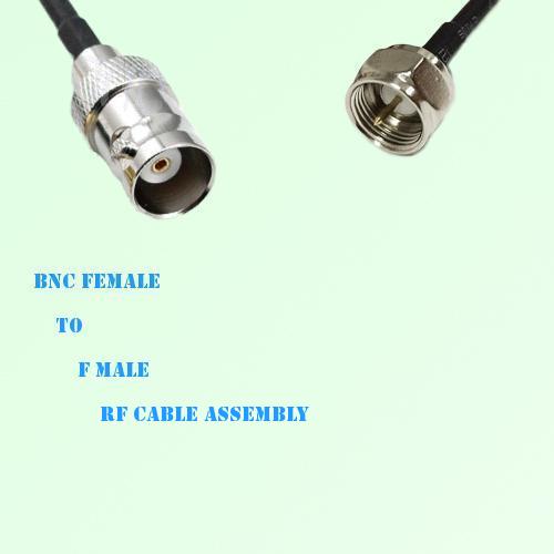 BNC Female to F Male RF Cable Assembly BNC Female to F Male RF Cable Assembly