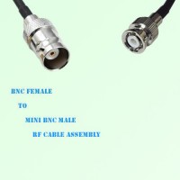 BNC Female to Mini BNC Male RF Cable Assembly