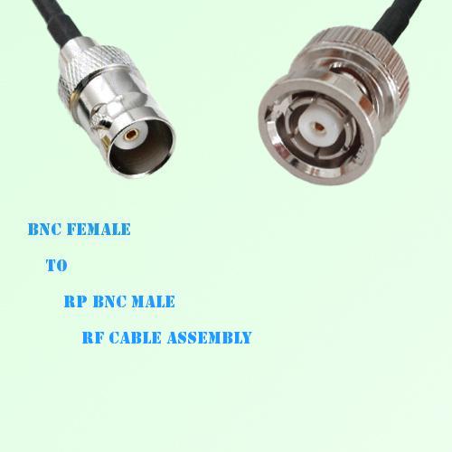 BNC Female to RP BNC Male RF Cable Assembly