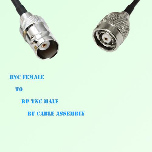 BNC Female to RP TNC Male RF Cable Assembly BNC Female to RP TNC Male RF Cable Assembly