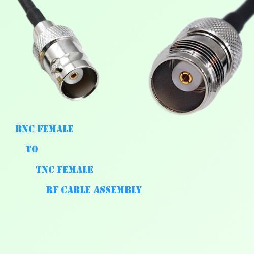BNC Female to TNC Female RF Cable Assembly