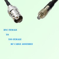 BNC Female to TS9 Female RF Cable Assembly