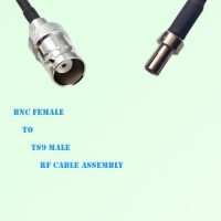 BNC Female to TS9 Male RF Cable Assembly
