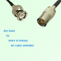 BNC Male to DVB-T TV Female RF Cable Assembly