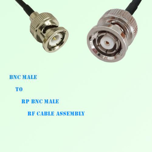 BNC Male to RP BNC Male RF Cable Assembly