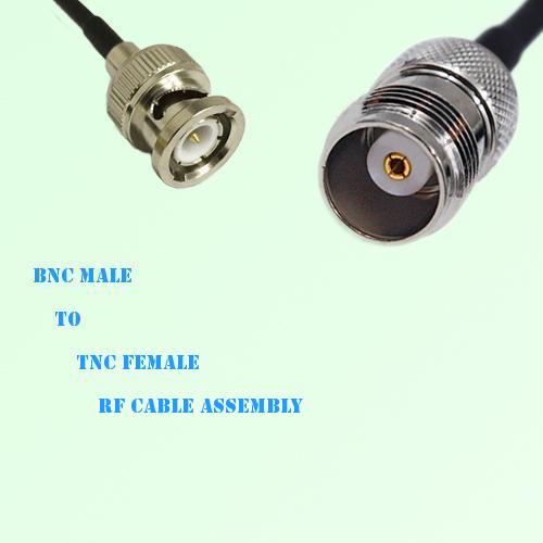BNC Male to TNC Female RF Cable Assembly
