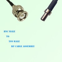 BNC Male to TS9 Male RF Cable Assembly