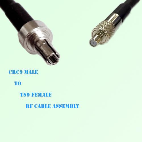 CRC9 Male to TS9 Female RF Cable Assembly