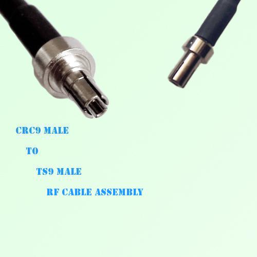 CRC9 Male to TS9 Male RF Cable Assembly