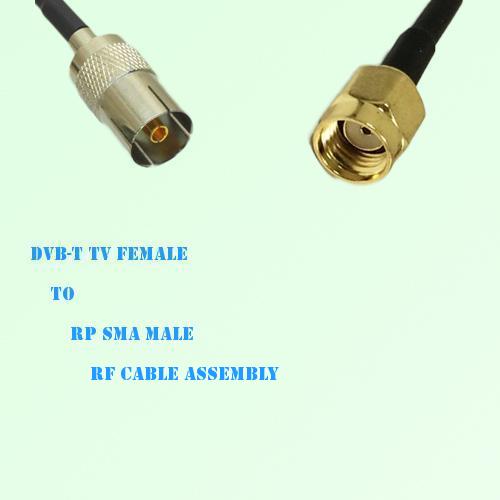 DVB-T TV Female to RP SMA Male RF Cable Assembly