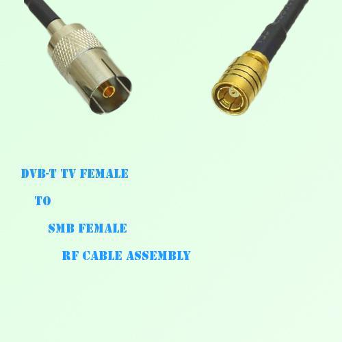 DVB-T TV Female to SMB Female RF Cable Assembly