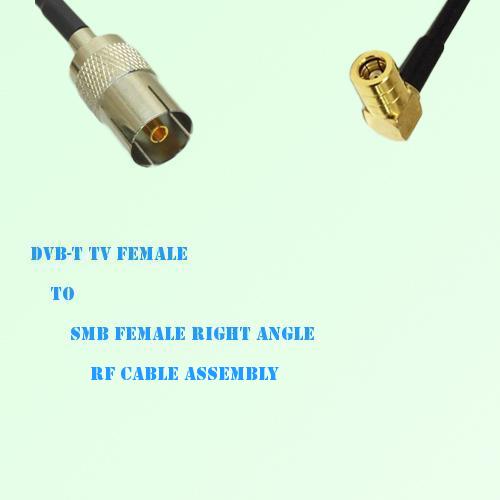 DVB-T TV Female to SMB Female Right Angle RF Cable Assembly