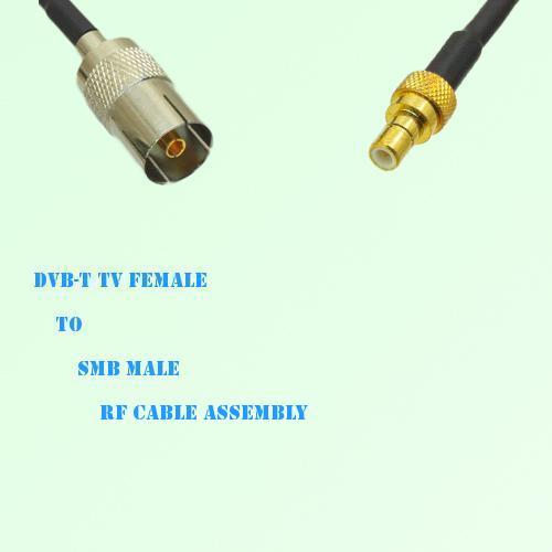 DVB-T TV Female to SMB Male RF Cable Assembly